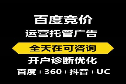 百度竞价与搜索引擎优化（SEO）结合的经典案例